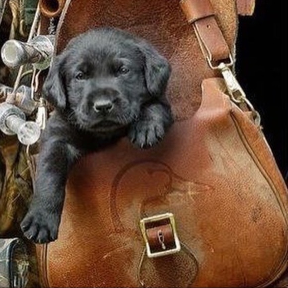 Meet your Posher, J - Picture 3 of 3